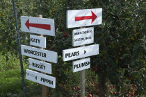 Fruit, Orchard, Pick Your Own, signs pointing the way to rows containing different varietes of tree in Grange Farm.