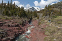 Canada, Alberta, Waterton Lakes NP. Red Rock Canyon at Waterton Lakes National Park. Meltwater from a glacier runs through the canyon, The red rock is argillite which contains oxidized iron. Pine tree...