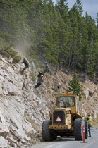 Canada, Alberta, Waterton Lakes NP, Workers wearing safety helmets on ropes clearing a rock slide and making the rock face safe along the Akamina Parkway, Caterpillar tractor on parkway, Pine trees an...