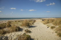 England, West Sussex, West Wittering Beach, View across sand dunes towards beach and sea at East Head. Sunshine and blue sky.