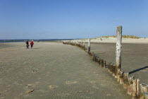 England; West Sussex; Chichester; West Witterings; East Head, Wooden Groynes and sandy beach at low tide.