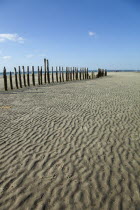 England; West Sussex; Chichester; West Witterings; East Head, Wooden Groynes and sandy beach at low tide.