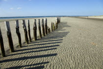 England; West Sussex; Chichester; West Witterings; East Head, Wooden Groynes and sandy beach at low tide.