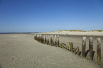 England; West Sussex; Chichester; West Witterings; East Head, Wooden Groynes and sandy beach at low tide.