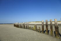 England; West Sussex; Chichester; West Witterings; East Head, Wooden Groynes and sandy beach at low tide.