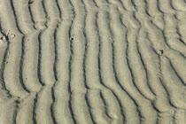 England, West Sussex, West Wittering Beach, East Head, Patterns in the sand at low tide.