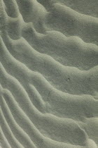 England, West Sussex, West Wittering Beach, Patterns in the sand at low tide.