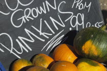 Food, Fruit, Pumpkins for sale at Grange Farms market store.