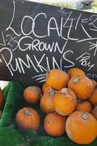 Food, Fruit, Pumpkins for sale at Grange Farms market store.