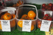 Food, Fruit, Locally grown Tomatoes for sale at Grange Farms market store.