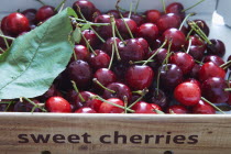 Food, Fruit, Sweet Cherries.