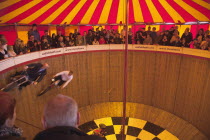 England, East Sussex, Brighton, Wall of death motorcycle fairground attraction on Madeira Drive during motorbike festival.