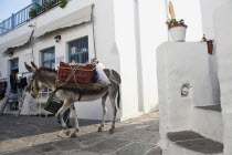 Greece, Cyclades Islands, Sifnos Island, Apollonia town, Working donkey carrying fruits and vegetables which his owner is selling at the streets.