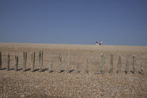 England, East Sussex, Winchelsea, View of rotten wooden groynes on the shingle beach and people walking in distance..
