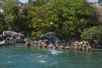 Mexico, Quintana Roo, Puerto Aventuras, Puerto Aventuras Marina, Dolphin Experience.