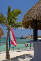 Mexico, Quintana Roo, Puerto Aventuras, View across bay with colourful hobie cat.