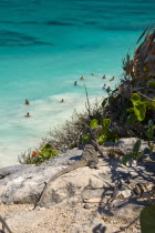 Mexico, Quintana Roo, Tulum, Iguana sunbathing above Tulum Beach 