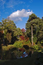 England, West Sussex, Leonardslee Lakes and Gardens, Middle Pond and autumn trees.   