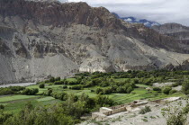 Nepal, Upper Mustang, Green fields along the route from Kagbeni to Chhusang. Kali Gandaki gorge.