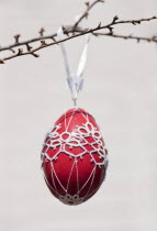 Austria, Vienna, Hand-painted egg shell hanging from a branch to celebrate Easter at the Old Vienna Easter Market at the Freyung.