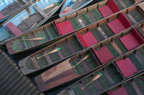 England, Oxfordshire, Oxford, Moored rowing boats on the river Cherwell near Magdalen bridge.