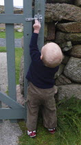 Kids, Outdoor, 2 year old Oscar stretching to open the garden gate.