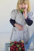 Kids, Eating, Fruit, 5 year old Eva eating first strawberries of the year in February.