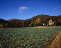 England, Hereford and Worcester, Malvern hills, view across field with brassica crop towards little malvern priory at the southern end of the malvern hills with hereford beacon centre left.