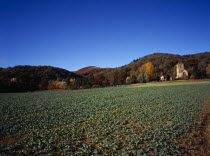 england, Hereford and Worcesterr, Malvern Hills, view across field and brassica crop towards Little Malvern priory situated at the southern end of the Malvern hills with Hereford Beacon centre left.