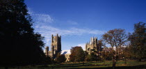 England, Cambridgeshire, Ely, view across meadow with trees in autumn colours towards exterior of Ely Cathedral.