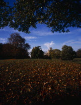 England, Cambridgeshire, Ely, view across meadow with trees in autumn colours towards exterior of Ely Cathedral.