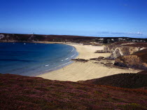 France, Bretagne, Croxon Peninsula, Veryach beach. stretch of sandy beach with three figures. heather clad cliffs in foreground houses and other buildings in far distance.