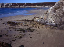 France, Bretagne, Crozon Peninsula, Pointe de Penhir from above veryach beach with rocky foreshore in foreground.