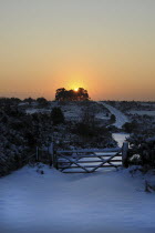 England, East Sussex, Ashdown Forest, Snow covered Camp Hill tree clump in winter, with sun shining through trees on the horizon,