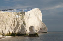 England, East Sussex, Seaford Head, snow on cliffs with people toboganing.