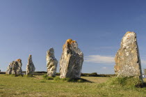 France, Brittany, Alignment de Lagatjar standing stones near Cameret-sur-Mer.