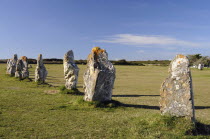 France, Brittany, Alignment de Lagatjar standing stones near Cameret-sur-Mer.