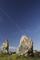 France, Brittany, Alignment de Lagatjar standing stones near Cameret-sur-Mer.