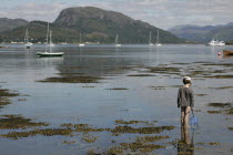 Scotland, Highlands, Ross & Cromarty, Plockton, Young boy wading with fishing net in Loch Carron.