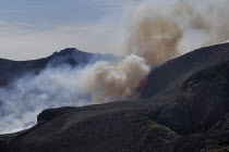 Ireland, County Down, Mourne Mountains, a Gorse fire races up Slieve Lamagan.