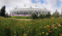 England, London, Stratford, Olympic Stadium, Naturalistic meadow planting using per-annual plants from around the world.