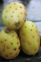 Mexico, Bajio, Zacatecas, Tunas or cactus fruit.