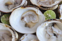 Mexico, Oaxaca, Huatulco, Almejas or clams served in their shells with cut halves of lime.