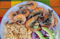 Mexico, Oaxaca, Huatulco, Gambas or prawns served on plate with sliced onion, avocado, tomato and couscous salad.
