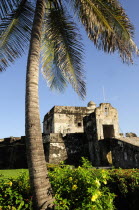 Mexico, Veracruz, Baluarte de Santiago, historic fort now site of museum with palm tree and flowering shrubs in foreground.