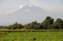 Mexico, Puebla, View towards volcanic cone of Popocatepetl with figures working in the fields in the foreground.