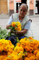 Mexico, Bajio, Guanajuato, Plaza del Baratillo, Woman preparing marigolds on street stall.