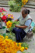 Mexico, Bajio, Guanajuato, Woman preparing marigold bunches on street stall in the Plaza del Baratillo.