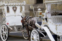 Mexico, Jalisco, Guadalajara, White and gold painted horse drawn tourist carriages queue in line on street.