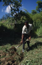 West Indies, Jamaica, Agriculture, man using fork to dig soil.